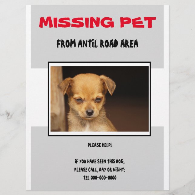 MISSING PET 02  FLYER POSTER (Framsidan)