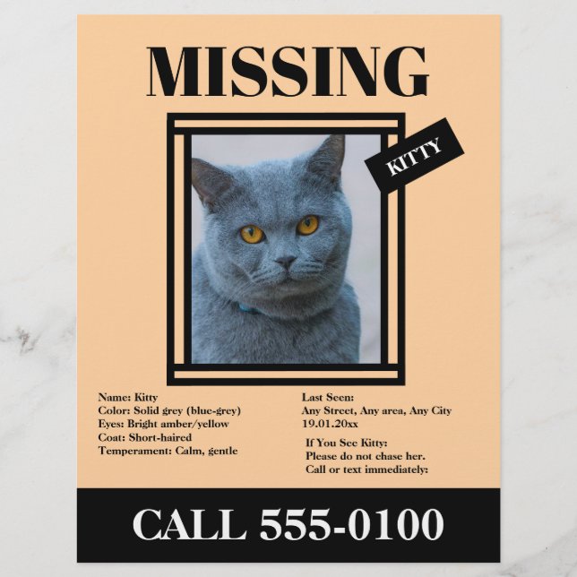 Missing Pet Flyer Custom Photo, Info (Framsidan)