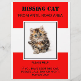 missing pet flyer,poster reklamblad