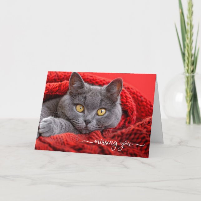 Missing You Gray Cat in a Red Knit Afghan Kort (Framsida)