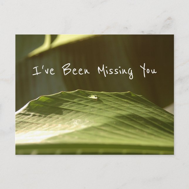 "Missing You", Vatten Droplet på Banana Löv, Photo Vykort (Framsida)