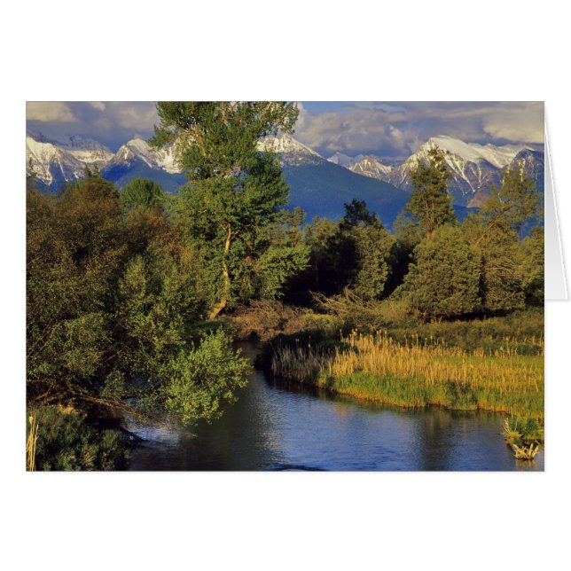 Mission Creek i National Bison Range i Hälsningskort (Framsidan Horizontal)