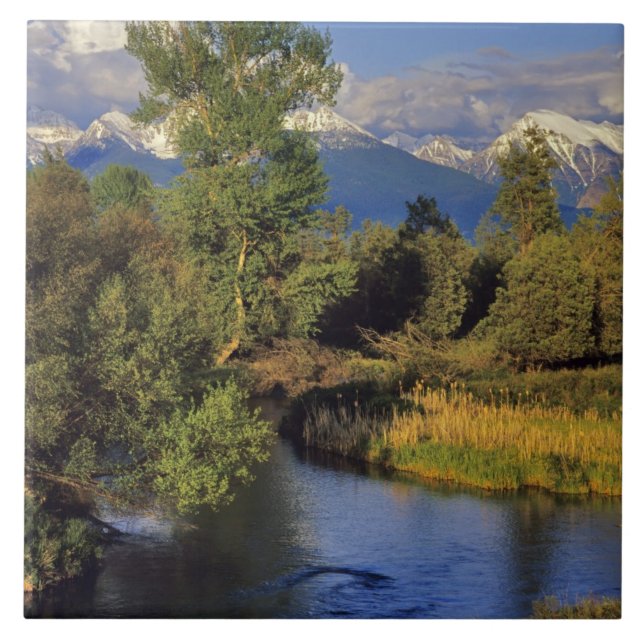 Mission Creek i National Bison Range i Kakelplatta (Framsidan)
