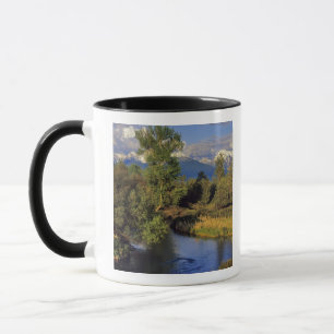 Mission Creek i National Bison Range i Mugg