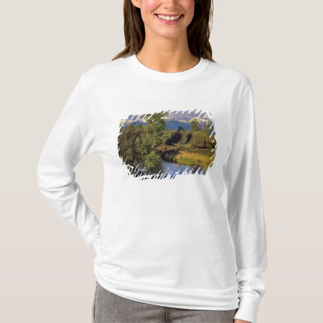 Mission Creek i National Bison Range i Tee (Framsida)