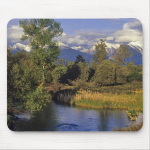 Mission Creek rinner genom National Bison Musmatta