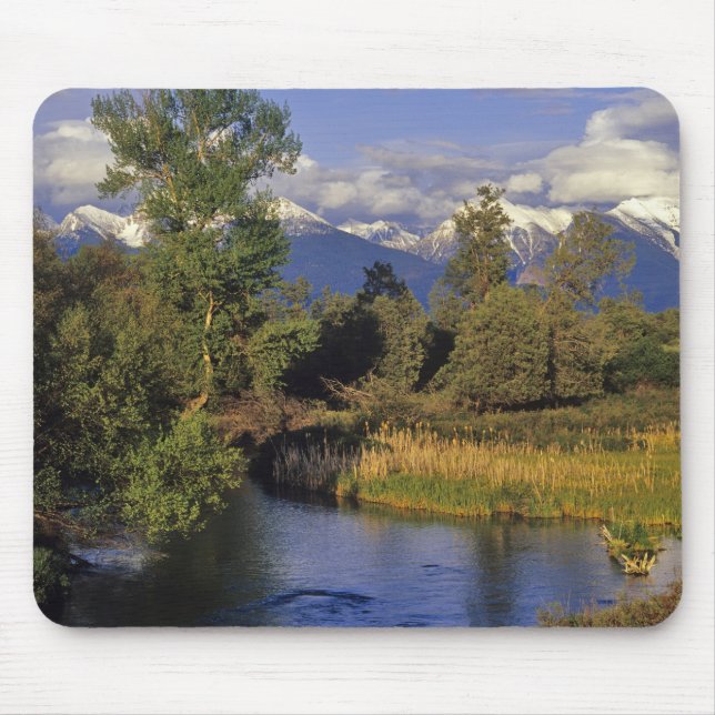 Mission Creek rinner genom National Bison Musmatta (Framsidan)