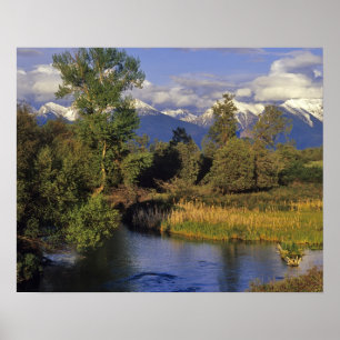 Mission Creek rinner genom National Bison Poster