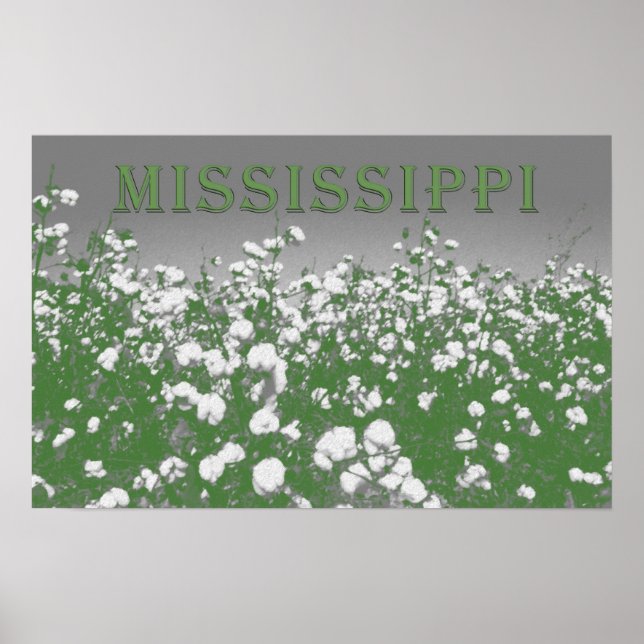 Mississippi Cotton Poster (Framsidan)
