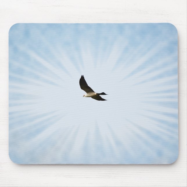 Mississippi Kite Hawk Bird Art Mouse Pad Musmatta (Framsidan)
