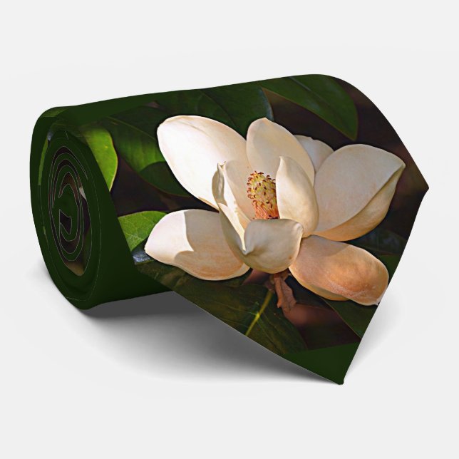 Mississippi Louisiana sydlig Magnolia Slips (Rullad)