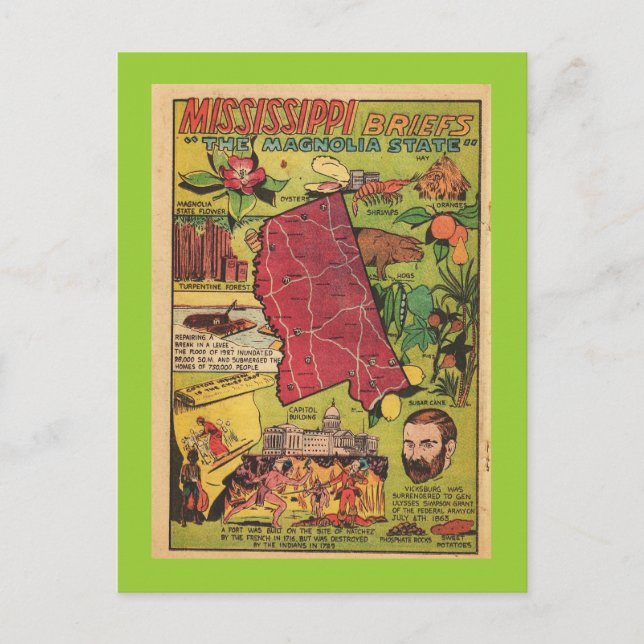 Mississippi Magnolia-staten Vykort (Framsida)