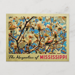 Mississippi Magnolias Vykort