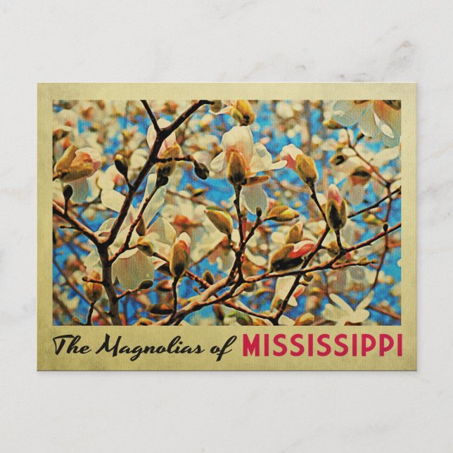 Mississippi Magnolias Vykort (Framsida)