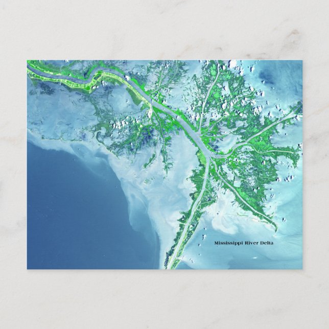 Mississippi River Delta Satellite Postcard Vykort (Framsida)