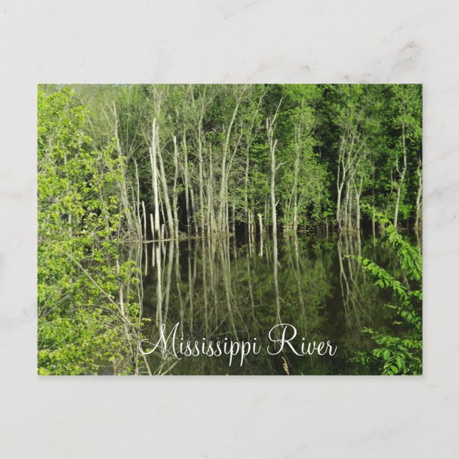 Mississippi River Postcard Vykort (Framsida)