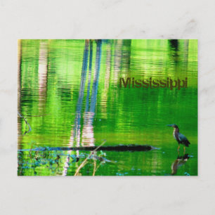 Mississippi Sjö Vykort