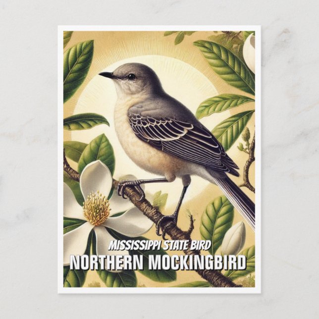 Mississippi State Bird Northern Mockingbird Vykort (Framsida)