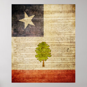 Mississippi statlig flagga 1861 poster