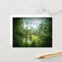 Mississippi Swamp - vykort