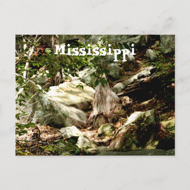 Mississippi Vykort (Framsida)