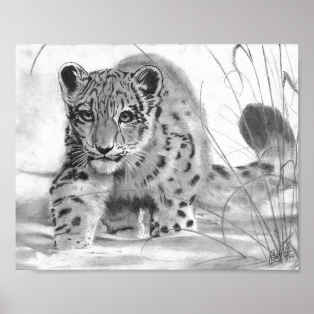 Missköv Poster (Framsidan)