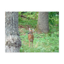 Misslyckades i juli vykort