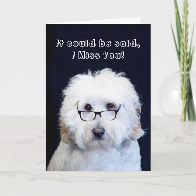 MISSLYCKAS DU - HUMOR W/HUND/SVART RIMGLAS KORT (Framsida)