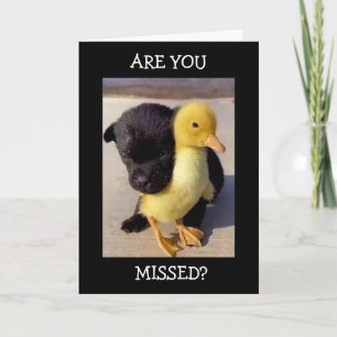 MISSLYCKAS VARJE MINUT, TIMME OCH DAG! KORT