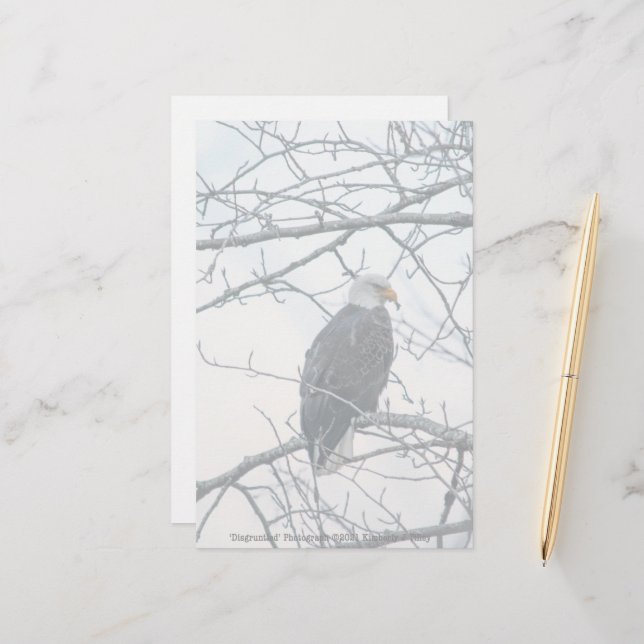 missnöjd (Fram/Back In Situ)