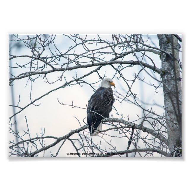 missnöjd fototryck (Framsidan)