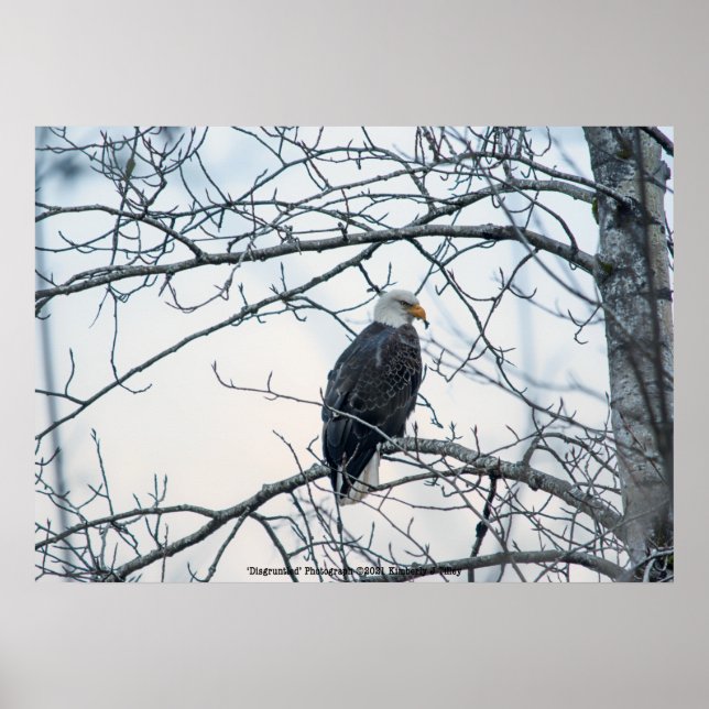 missnöjd poster (Framsidan)