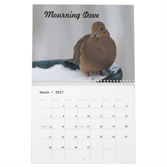 Missouri Backyard Birds Kalender (Mar 2027)