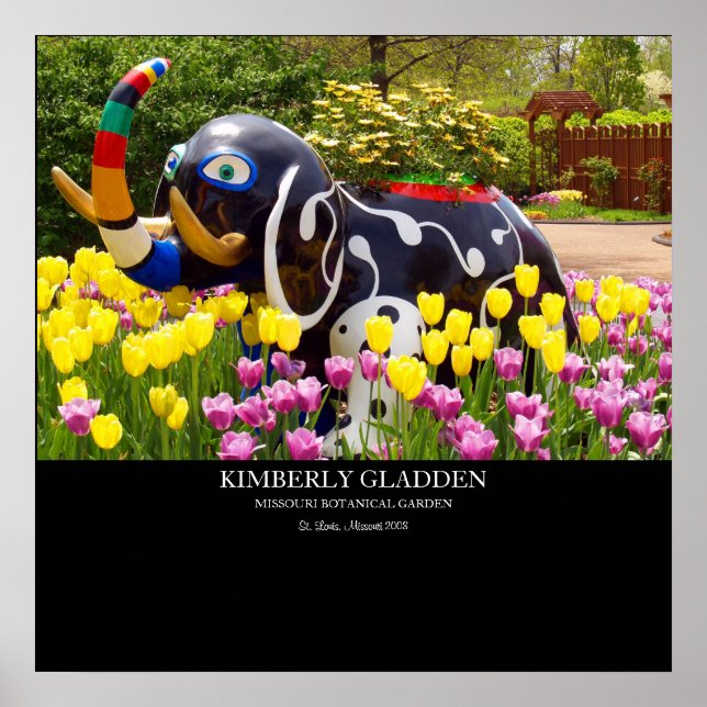 MISSOURI BOTANICAL GARDEN POSTER (Framsidan)