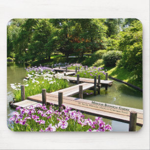 Missouri Botaniska Garden Zig Zag Bridge Musmatta