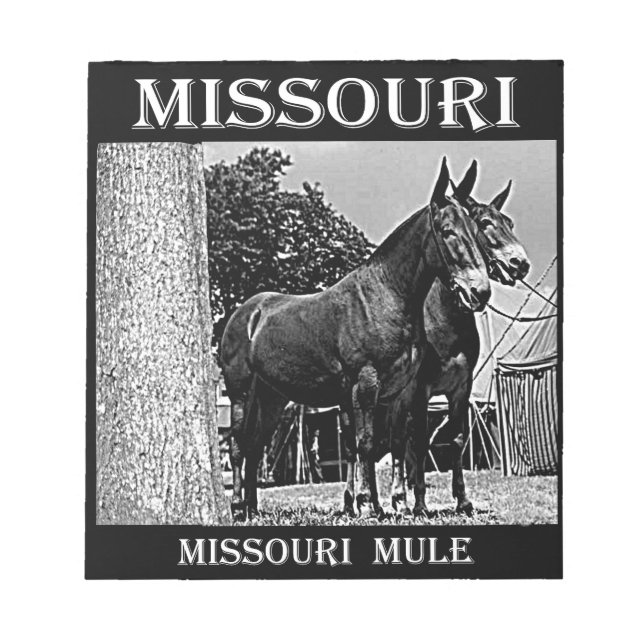 Missouri Mule Anteckningsblock (Framsida)