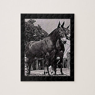 Missouri Mule Pussel