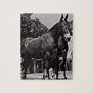 Missouri Mule Pussel