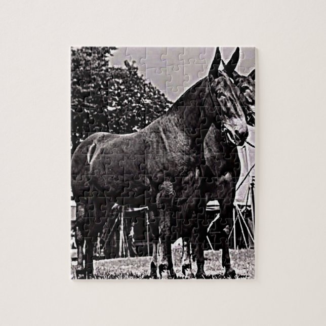 Missouri Mule Pussel (Vertikal)