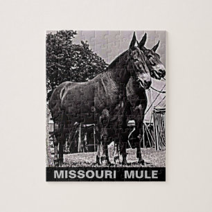 Missouri Mule Pussel