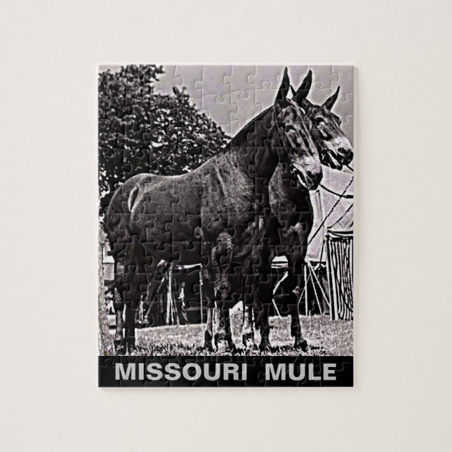 Missouri Mule Pussel (Vertikal)