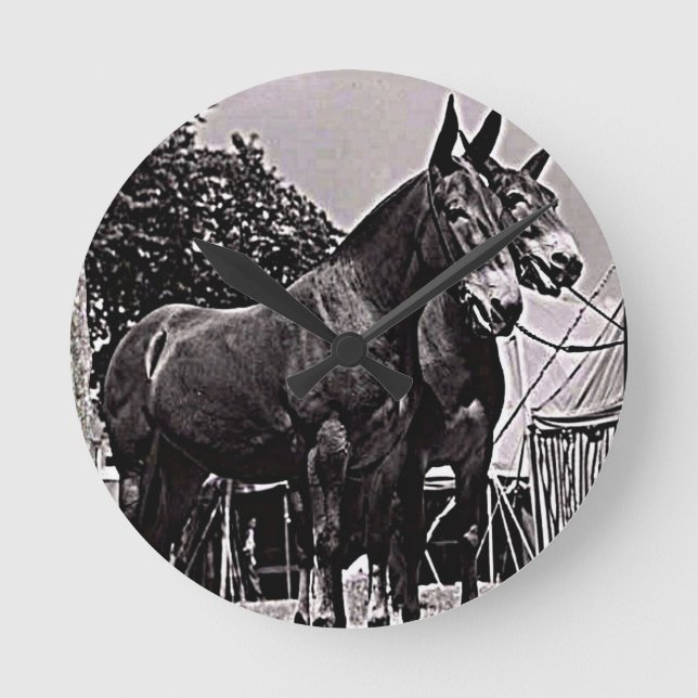 Missouri Mule Rund Klocka (Framsida)