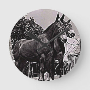 Missouri Mule Rund Klocka
