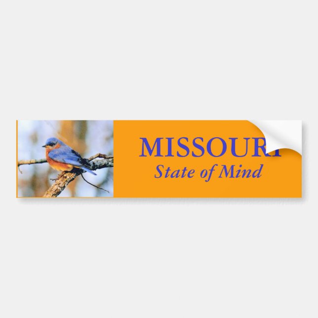 MISSOURI påstår av varar besvärad bildekalet Bildekal (Framsidan)