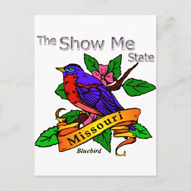 Missouri Show Me Bluebird Vykort (Framsida)
