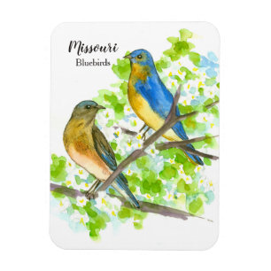 Missouri Souvenir Bluebirdsen Hawthorn Träd Magnet