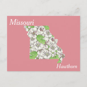 Missouri State Flower Collage Karta Vykort