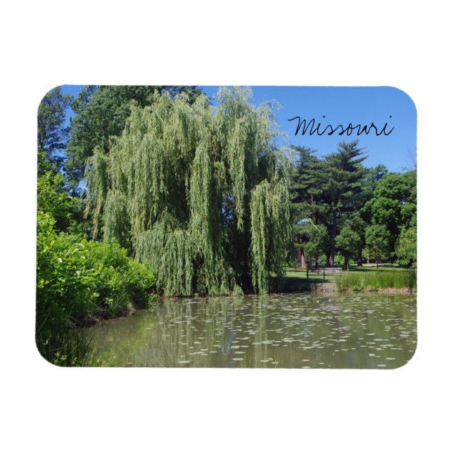 Missouri Weeping Willow på Pond Magnet (Horisontell)