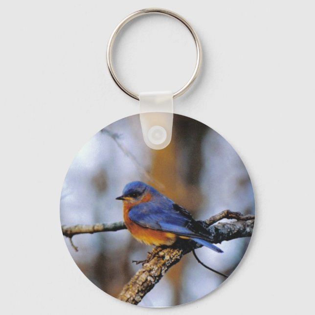 Missouris Bird nyckelring (Framsida)