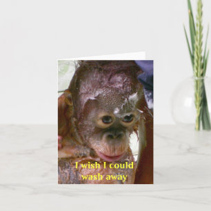 Misstag jag är ledsen kort